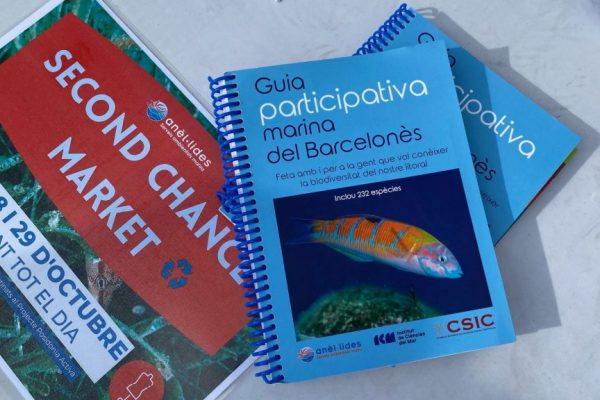 ICM-CSIC