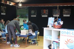 associació anel·lides nadal al port