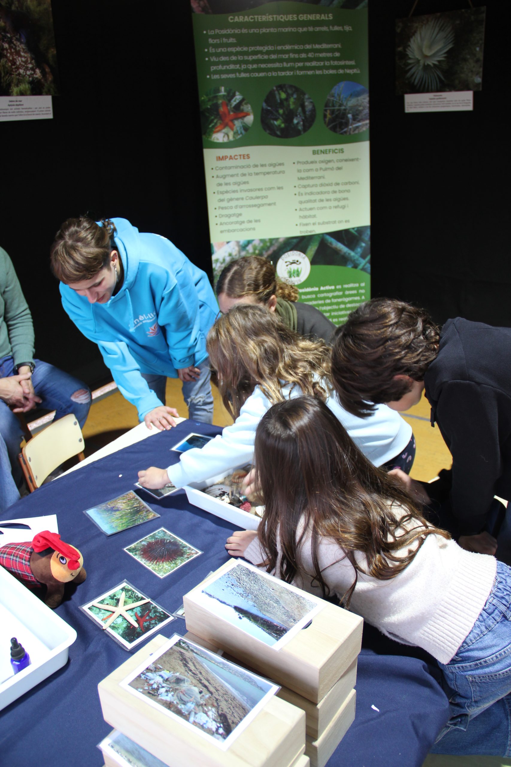 associació anel·lides nadal al port 2024